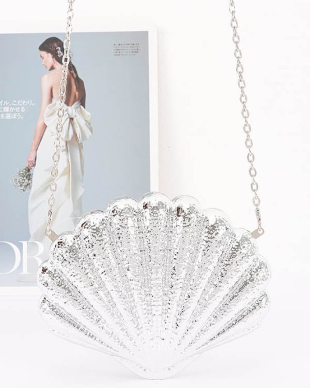 Seashell acrylic clutch in silver